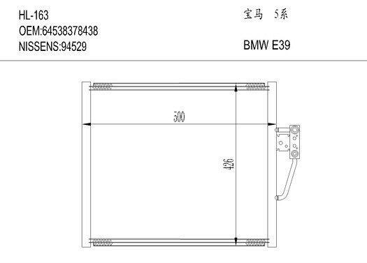 宝马HL-163 BMW E39
